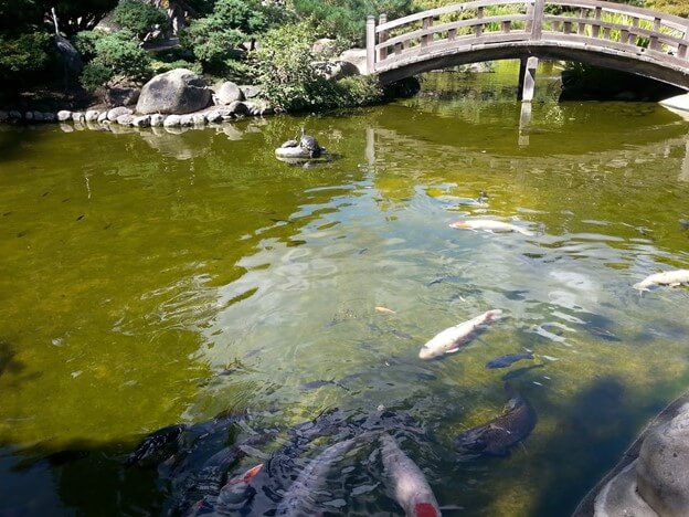 Hakone Estate and Gardens
