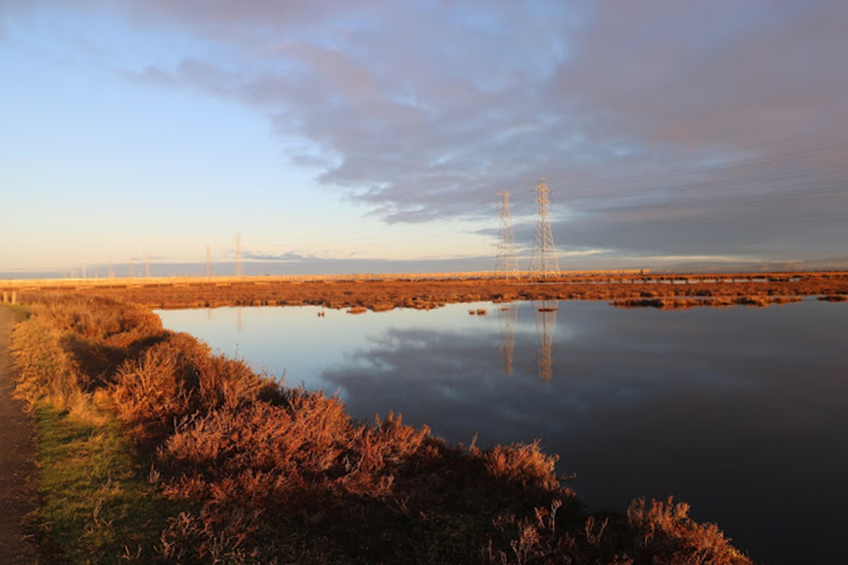 Baylands Nature Preserve