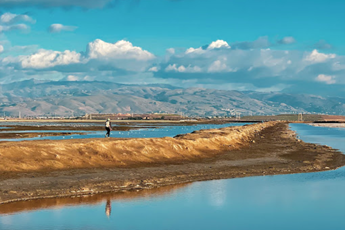 Alviso Marina County Park