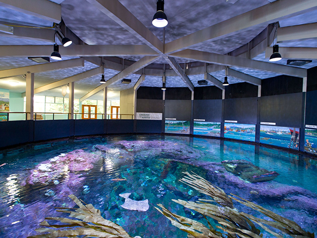 Point Defiance Zoo & Aquarium
