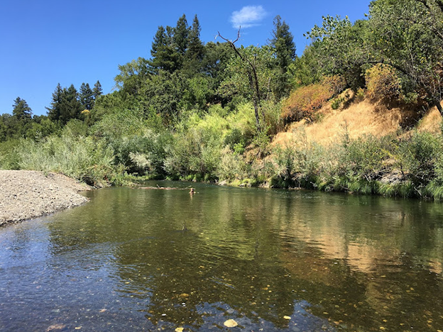 Del Rio Woods Regional Park