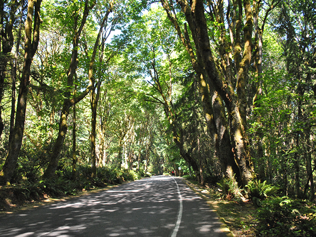 Point Defiance Park
