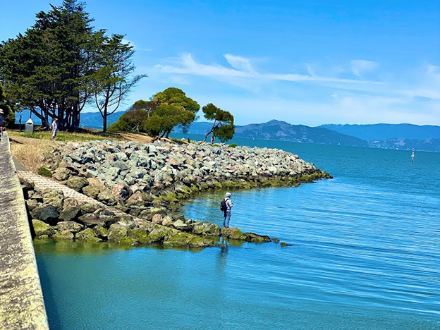 Walking Trail Surrounded by the Water