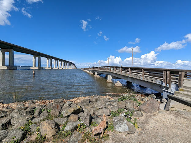 Antioch Oakley Regional Shoreline