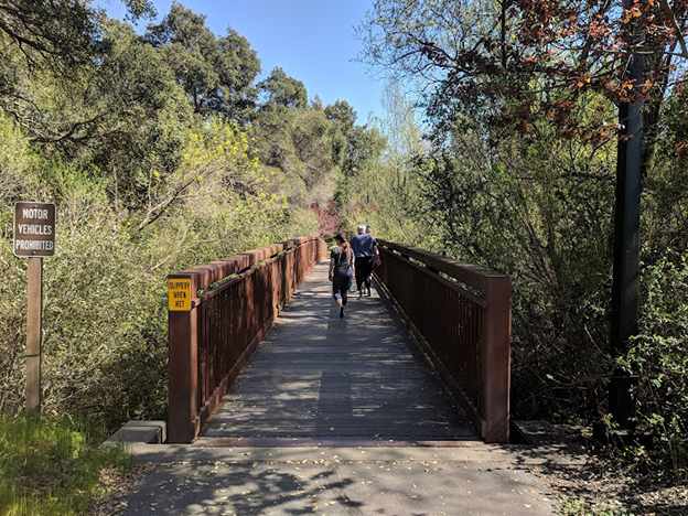 Moraga Commons Park
