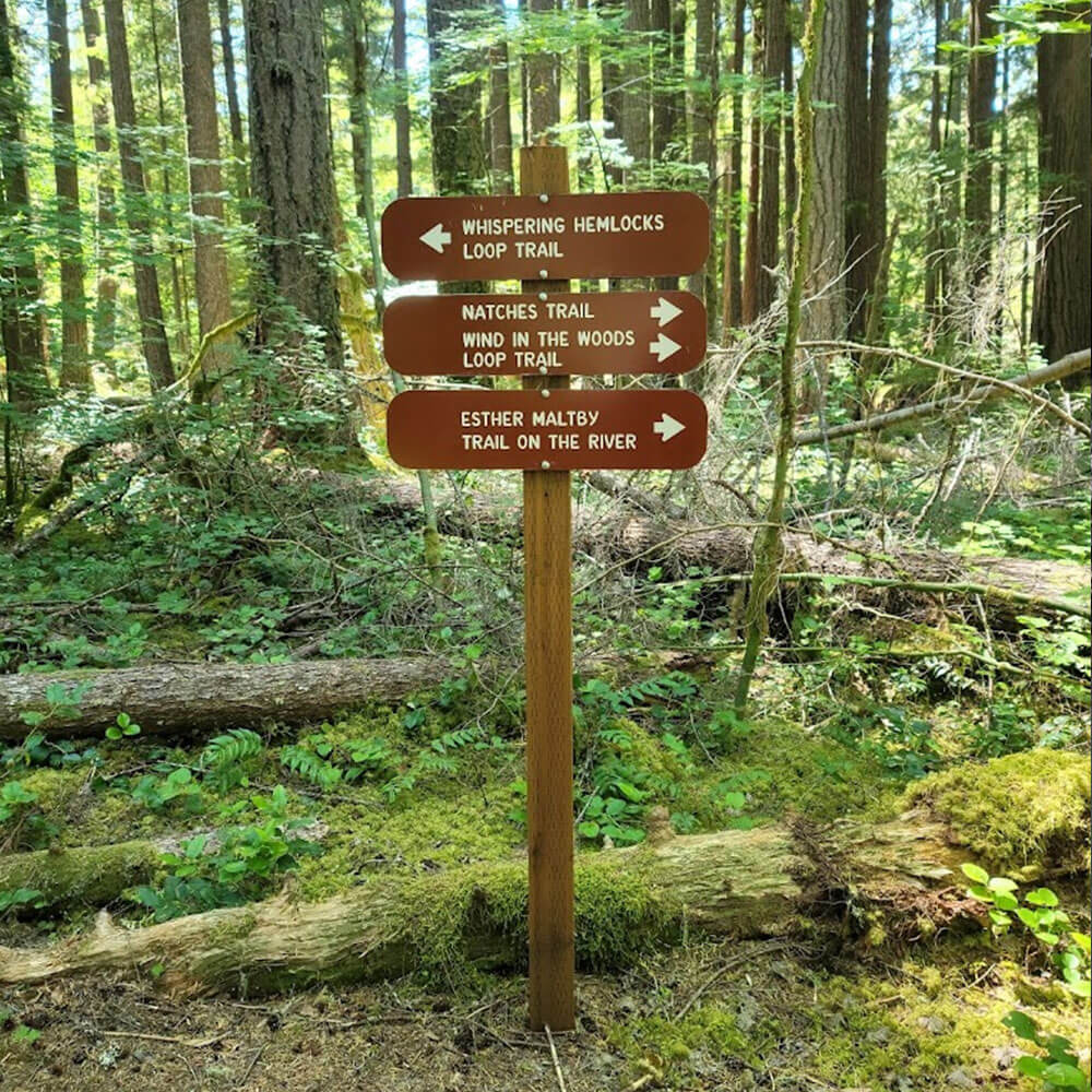 Trail Signs in the Forest