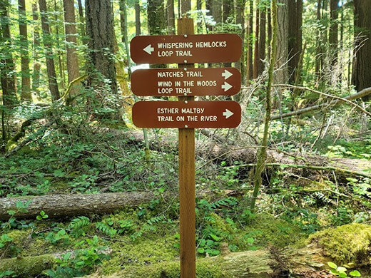 Trail Signs in the Forest
