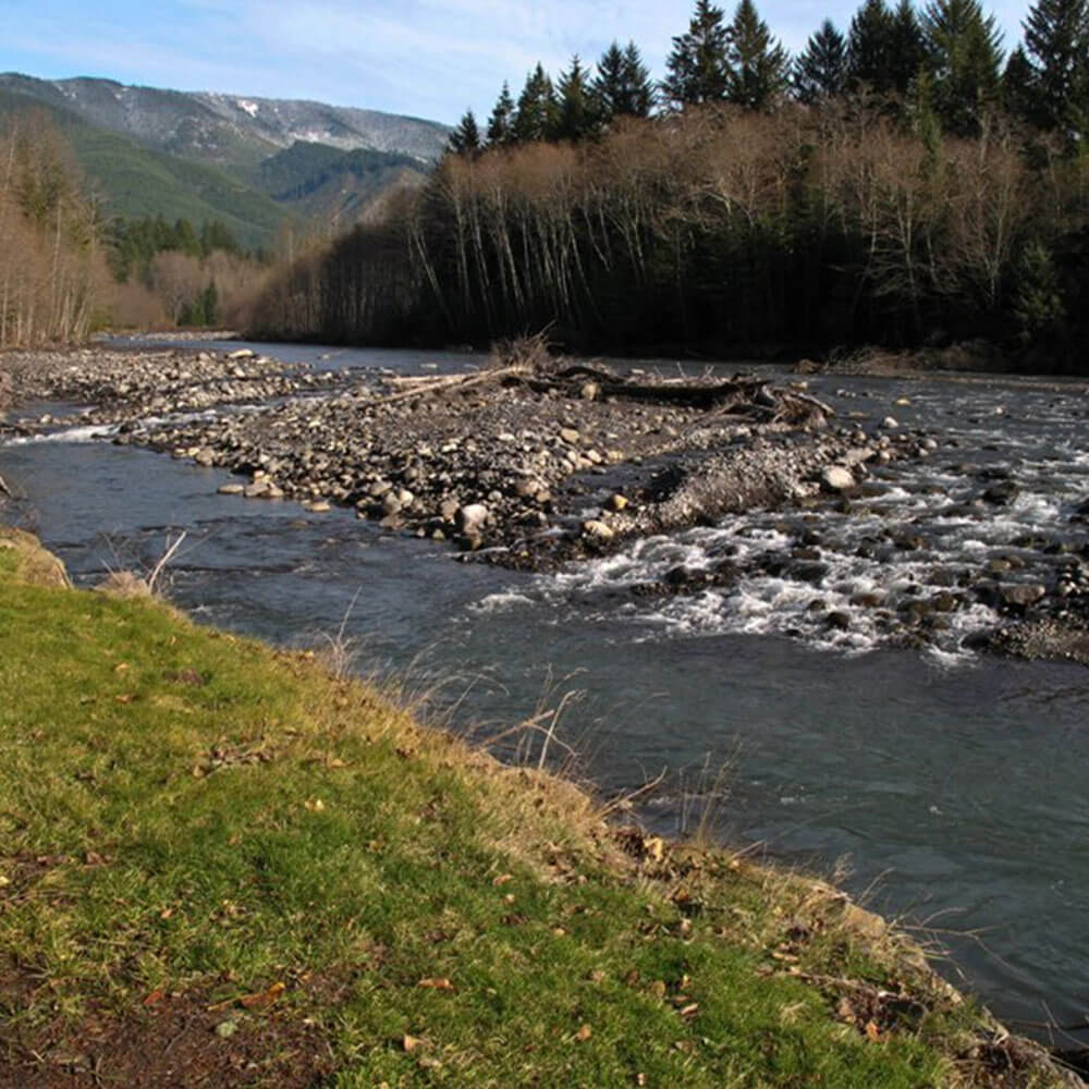 Federation Forest State Park