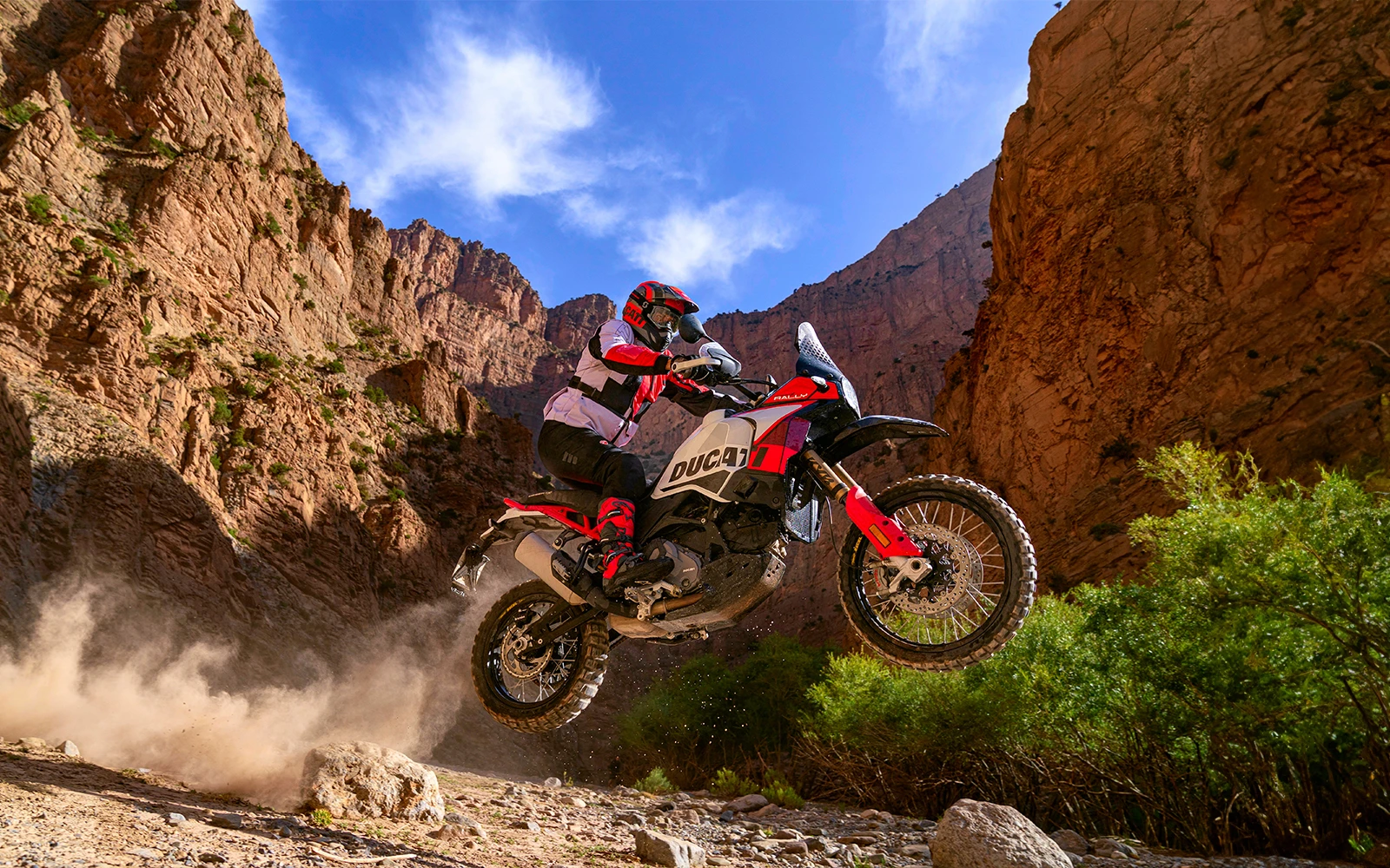 2024 Ducati DesertX Image 01